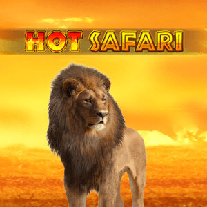 Hot Safari