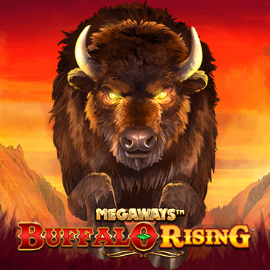 Buffalo Rising