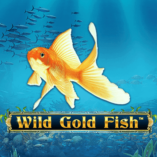 Wild Gold Fish