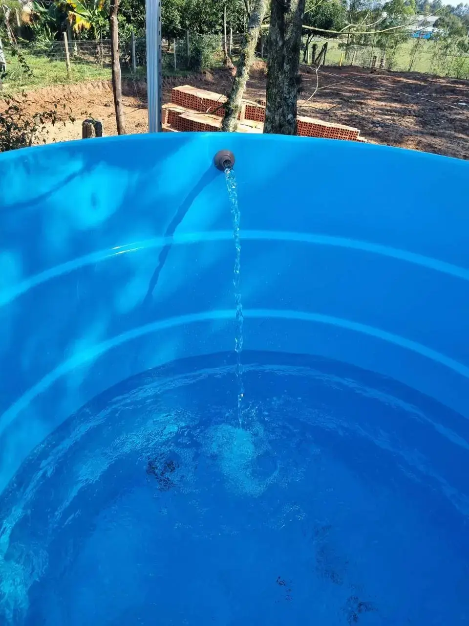 water in a blue tray