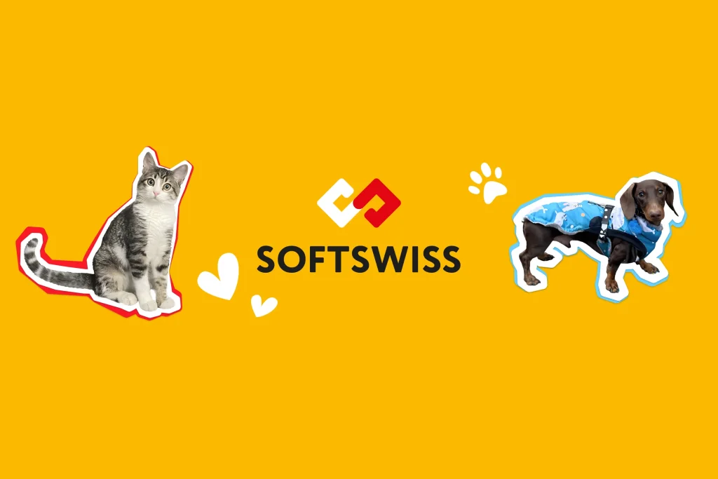 Support to Animal Shelters on International Pet Day 2025