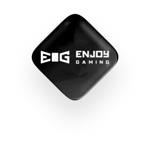 Enjoy Gaming