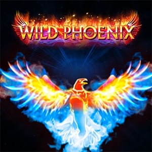 Wild Phoenix